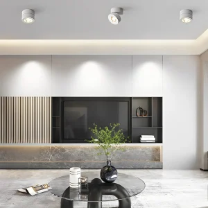 NordicFlex Ronde Opklapbare Verstelbare LED Spotlight - Inbouw Plafondlamp voor Stijlvolle Verlichting