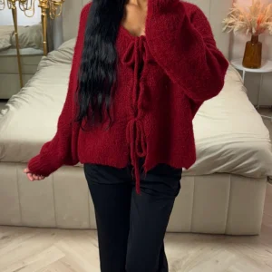 Alpaca Blend Gebreid Vest met Striksluiting