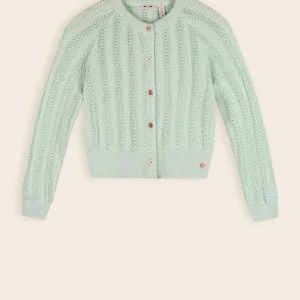 Anais Gebreid Vest Mint Groen