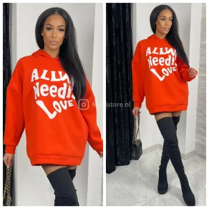 Hoodie All we need is love