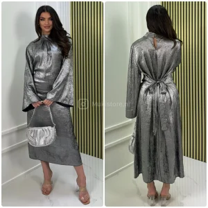 Tie Belt Metallic Dress